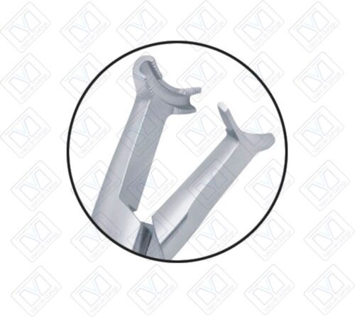 Pinza Para Cinchar Ortho Premium (R: 1150802) - Imagen 2