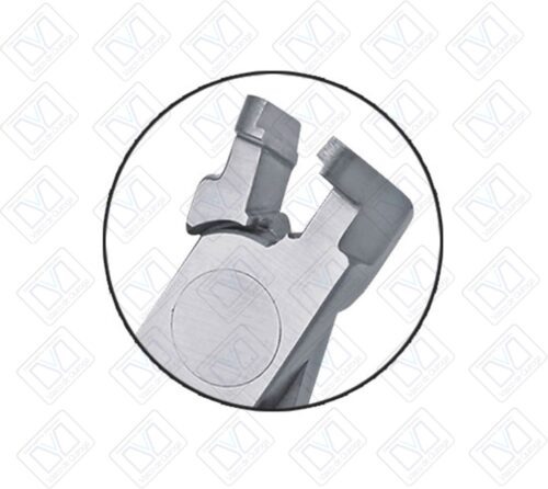 Pinza  Corte Distal Ortho Premium - Imagen 2