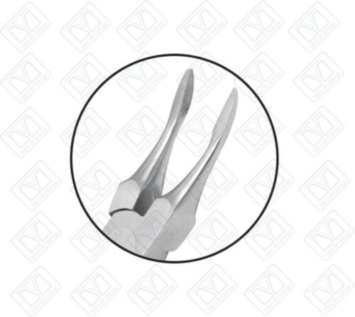 Pinza Weingart Ortho Premium (R: 1150376) - Imagen 2